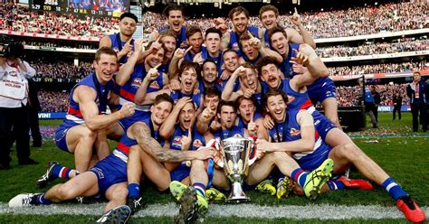 western bulldogs contact number